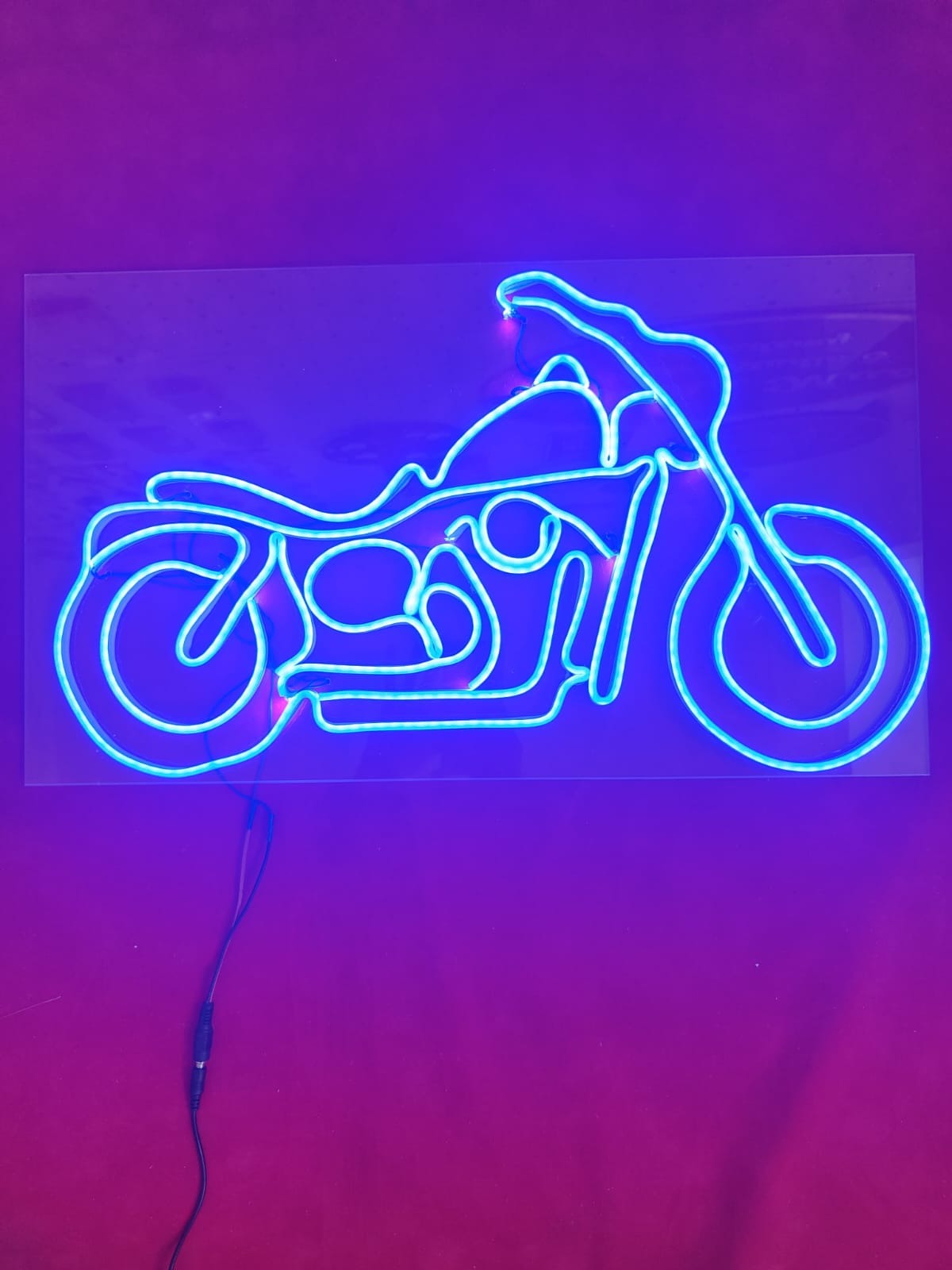 Bike Neon light