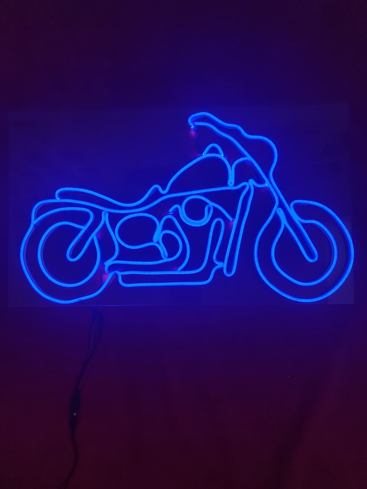 Bike Neon light